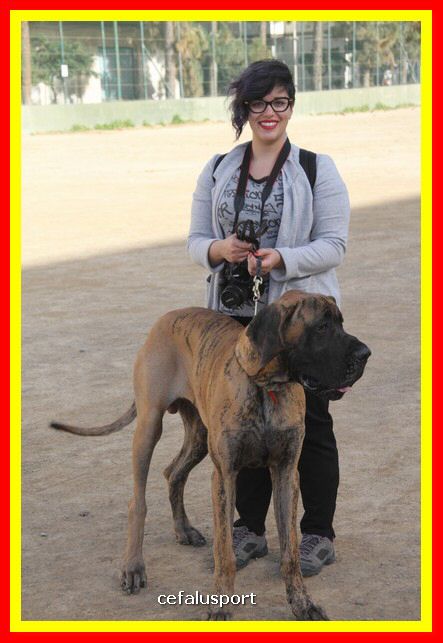 180311 mostra_canina 145.jpg